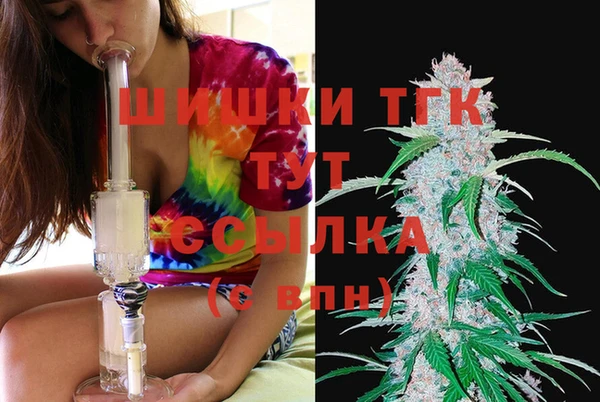 бошки Богданович