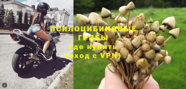 бошки Богданович